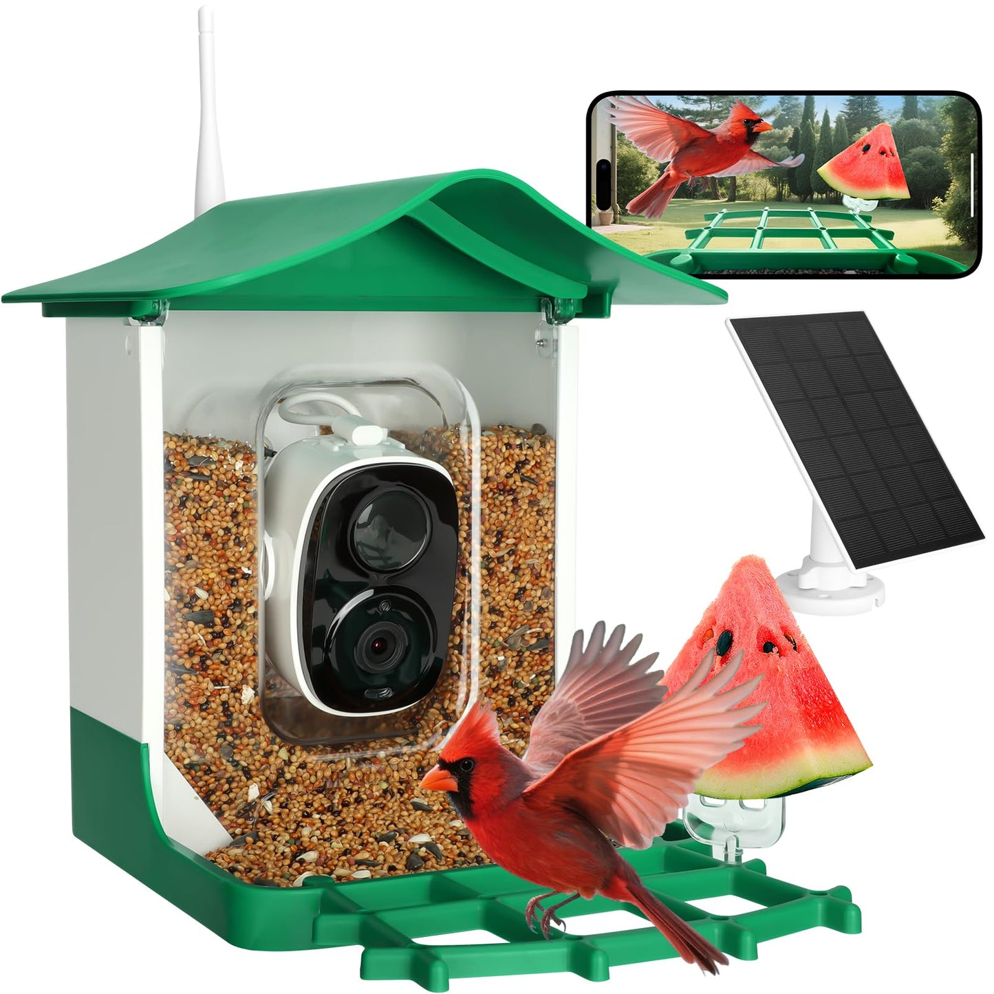 Smart Bird Feeder with Camera,AI Identify Birds Species,Auto Record 2K Birds Video in Backyard Garden,Live View,Instant Notifications，Solar Powered Charging,Ideal Gift for Family and Bird Lovers