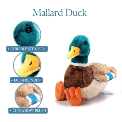 The Petting Zoo Duck Stuffed Animal Plushie, Gifts for Kids, Wild Onez Wildlife Animals, Duck Plush Toy, 12 inches