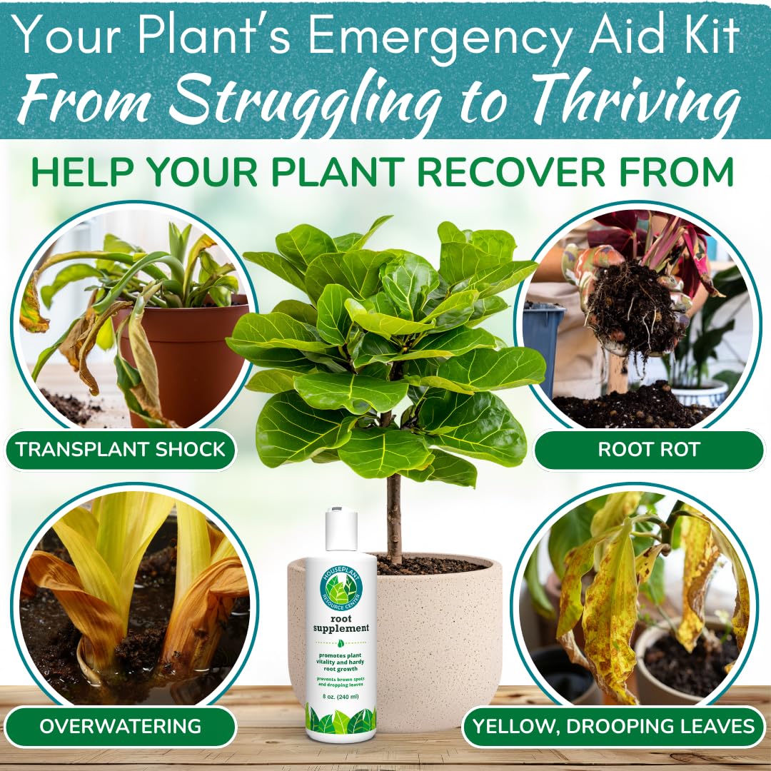 Root Rot Repair for Houseplants – Root Supplement & Recovery Drops for Overwatering or Shock | Heals Roots, Prevents Yellowing, Brown Spots & Dropping Leaves (8 oz)