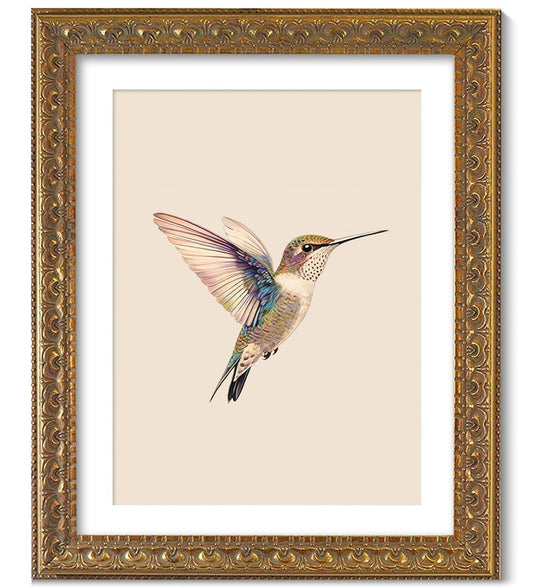 Wemandh Vintage Gold Framed Wall Art, Hummingbird Canvas Prints , Living Room Bedroom Wall Art Decor, Ornate Antique Style Picture Frame, Victorian Botanical Bird Illustration painting (Framed, 8" x 10")