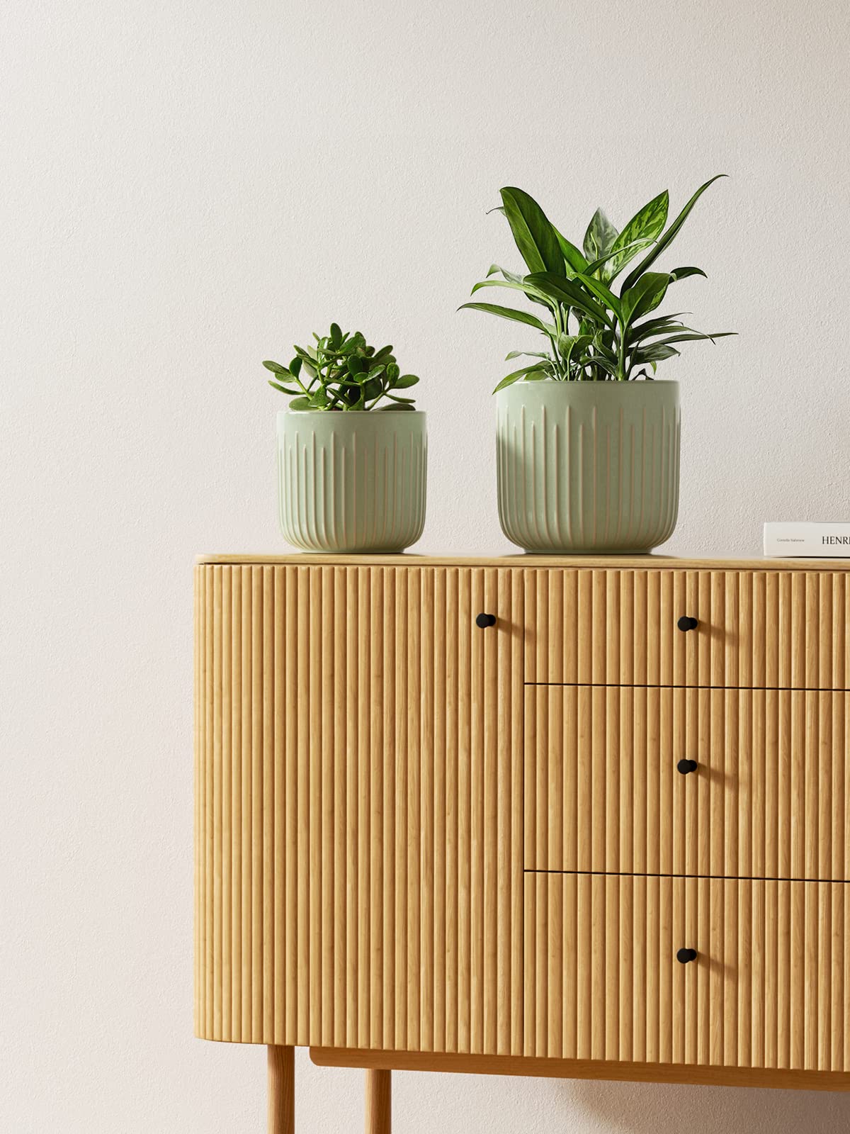 LE TAUCI Ceramic Pots for Plants, 8.3/7/6 Inch Indoor Planters with Drainage Holes & Mesh, Modern Glossy Glaze Cylinder Fluted Plant Pot for Snake Plant, Set of 3, Sage Green
