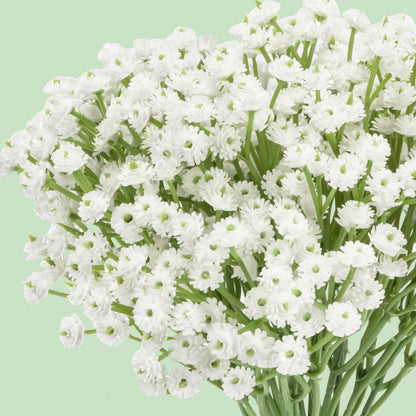 MAQIHAN 18 Baby Breath Artificial Flowers - 7.6" Babies Breath Flowers Artificial Faux Flowers Bouquet White Fores Greenery Real Touch Fake Flowers Arrangements Wedding Centerpieces Tables Decorations