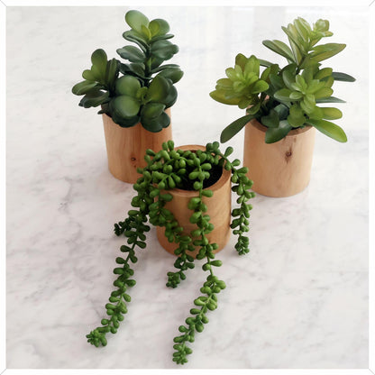 VINSUNI Artificial Succulents with Pots - Set of 3 Small Fake Plants for Aesthetic Room Decor - Realistic Mini Faux Greenery for Office Desk, Bookshelf, and Bathroom - Modern Home Accents