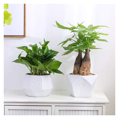Plants Flower Pots Outdoor Indoor Garden Planters Ceramic Plant Containers with Drain Hole Modern Flower Pot for All House Plants Flowers Herbs Gardening Pot (Size : Brass)
