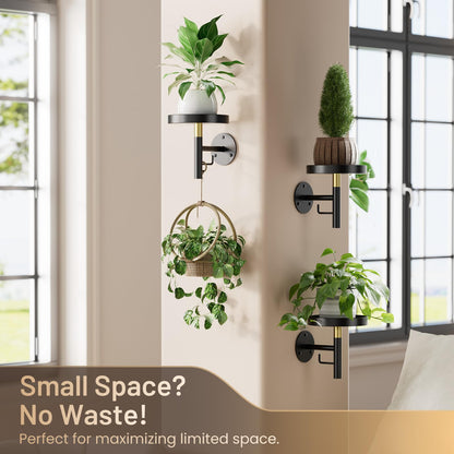 YUOROS 3 Pack Wall Plant Holder Wall Planters for Indoor Plants Hanging Window Plant Shelves Hanger Decor (Black)