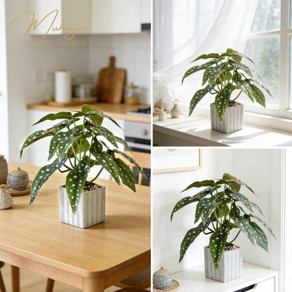 Muhanjia Artificial Potted Plant, Lifelike Faux Greenery in Decorative Cement-Look Square Pot for Indoor Home Decor Centerpieces (Polka Dot Begonia)