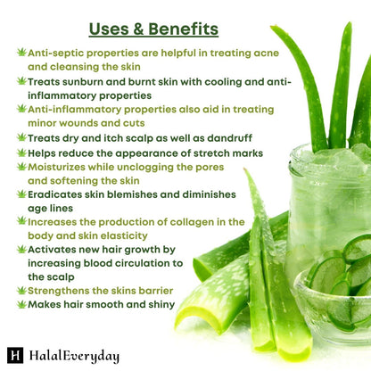 Pure Aloe Vera Gel Bulk