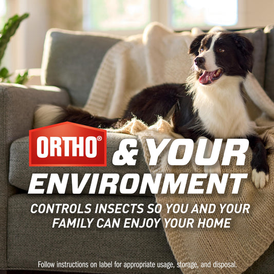 Ortho Home Defense Max Indoor Flying Insect Trap - Light Sticky Trap for House Flies, Fruit Flies, and Gnats, 1 Plug-in and 4 Refills