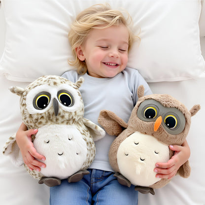 Ryttir 2 Pack 11.7Inch Chubby Small Owl Stuffed Animal, Adventure Stuffed Owl Plush Toy, Brave Boy's and Girl's Room Decor,Funny Owls Gift for Baby Kids Women