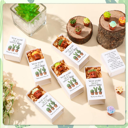 Jenaai Succulent Thank You Gift Bulk Positive for Teacher Nurse Employee Coworker Resin Cute Succulent Gifts Small Cactus Pocket Desk Favors with Positive Pun Boxes for Team Staff
