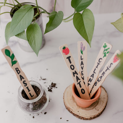12 Inch Paint Sticks, Box of 50 Hardwood Paint Stirrers, Wood Mixing Paddles for Epoxy or Resin, Garden or Library Markers by Woodpeckers