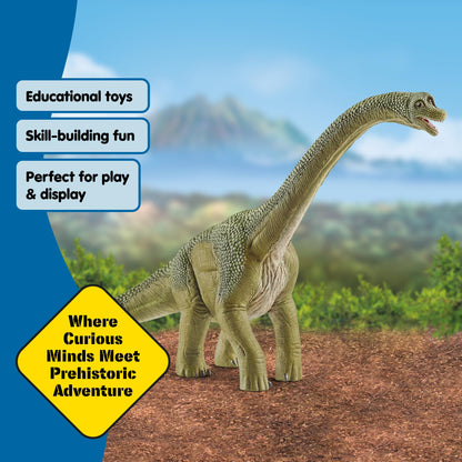 Schleich Dinosaurs - 9.5" Brachiosaurus - Realistic, Durable Green Dinosaur Toy - Educational Fun Long Neck Dino Figurine for Boys and Girls - Montessori Figures for Kids Ages 4+ | 14581