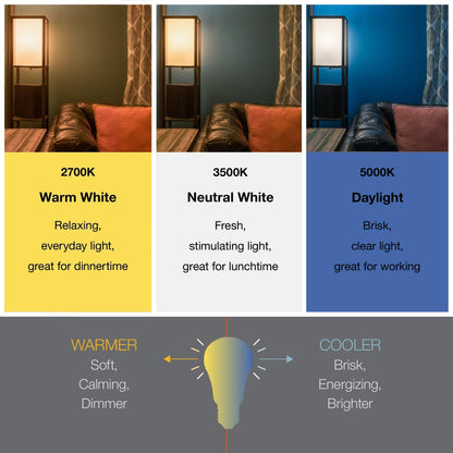 Sylvania LED Flood BR30 Light Bulb, 65W Equivalent Efficient 9W, 10 Year, 650 Lumens, Dimmable, 2700K, Soft White - 2 Pack (73954)