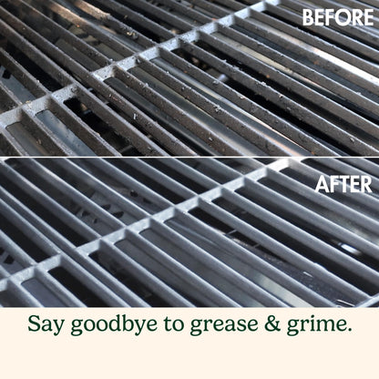 Cuisinart Stainless Steel 16.5" Long Handle Grill Cleaner Brush and Scraper for BBQ, Griddle, Grills, Cookout Tool, Grill Brush for Outdoor Grills BBQ Accessories