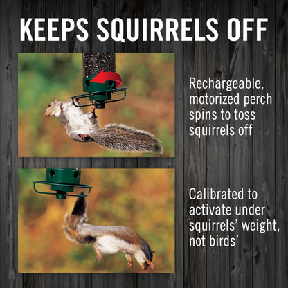 Droll Yankees Squirrel Proof Bird Feeder for Outdoors – Rechargeable Weight-Activated Rotating Perch, 5lb Seed Capacity, Metal Base, UV-Stabilized Seed Tube, Hanging Green Yankee Flipper, YF-M