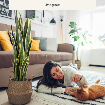 KOL 3ft Artificial Snake Plant, Fake Sansevieria Potted Floor Plants, Lifelike Faux Leaves, Indoor Home Office Room Decoration, Mother-in-Law Tongue, 35in, Yellow