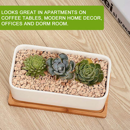 DeeCoo Succulent Pots, White Ceramic Flower Succulent Planters Pot with Bamboo Tray, 1 Rectangle Flower Pot + 1 Round Flower Pot 6.5" Drainage Hole for Cactus