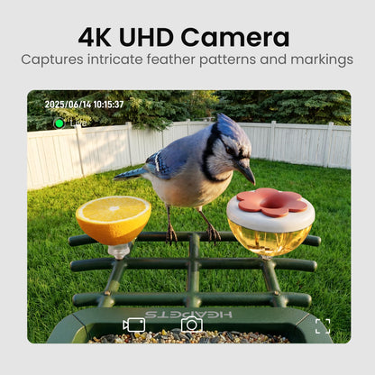 HEAPETS Bird Feeder with Camera Solar Powered, 4K UHD Video, AI Bird Recognition, Auto Capture with Instant Notifications, IP65 Weatherproof, Gifts for Seniors Bird Watchers, Brown