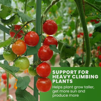 Tomato Cage Square - Large Trellis Stakes and Plant Support Structures for Vegetables and Climbing Plants - Tall Tomato Cages for Garden, Pots, Raised Garden Bed Outdoor Supplies (1 Pack - Up to 58")