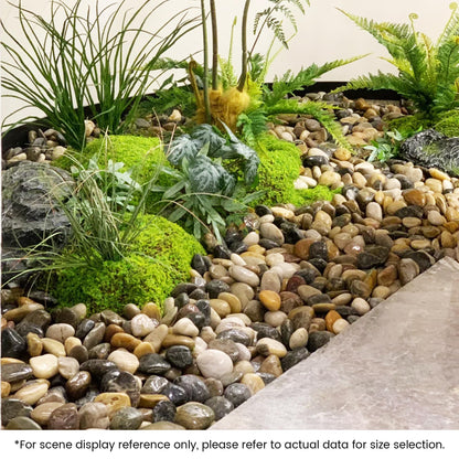 SIDONG 5 LB Mixed River Rocks, 0.4-1.2 Inches Highly Polished Pebbles for Indoor Plants, Decorative Stones for Plants, Fish Tank, Vases, Home Décor, Crafting, Garden Landscaping