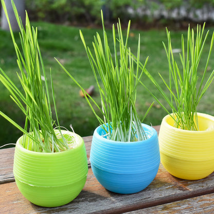 Elsjoy 30 Pack Mini Succulent Pot, 3 Inch Plastic Seed Starter Pots Small Cute Succulent Planter with Drainage for Indoor & Outdoor Plants, Home Decor, Free Assembly