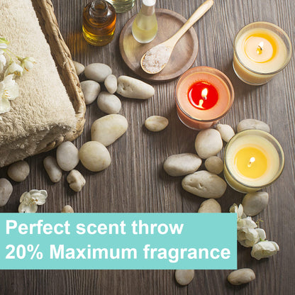 Soy Wax Candle Making Kit Supplies With Wax Melter, Natural Candle Wax For Candle Making, DIY Art&Crafts Kit for Adults,Beginner, Including 2lbs Soy Wax Flakes, Electric Stove,CandleWick,Melting Pot