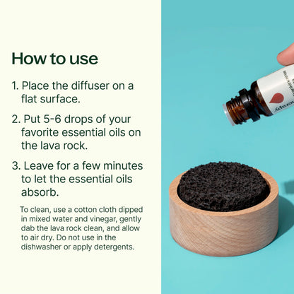 Plant Therapy Lava Rock Passive Diffuser for Essential Oils Great for Decorating at Home, Office or Car, and Gift-Giving