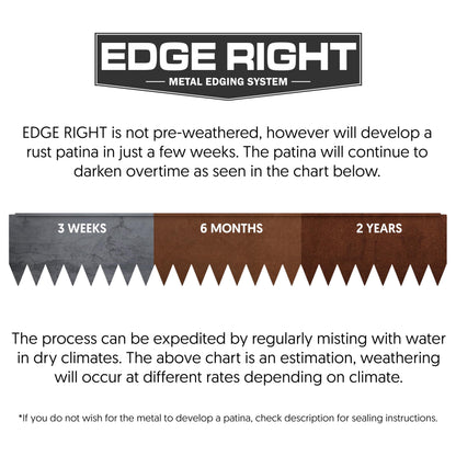 Edge Right - Hammer-in Landscape Edging - 48-inch Strips - 8-inch Depth 1/4-inch Rounded top COR-Ten Steel (5 Pack)