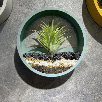 Pulovin 10 lbs Black Pebbles for Indoor Plants, Succulent, Bamboo, Vase, 3/8" Plant Rocks for Pots Indoor, Small River Rocks Decorative Pea Gravel, Highly Polished
