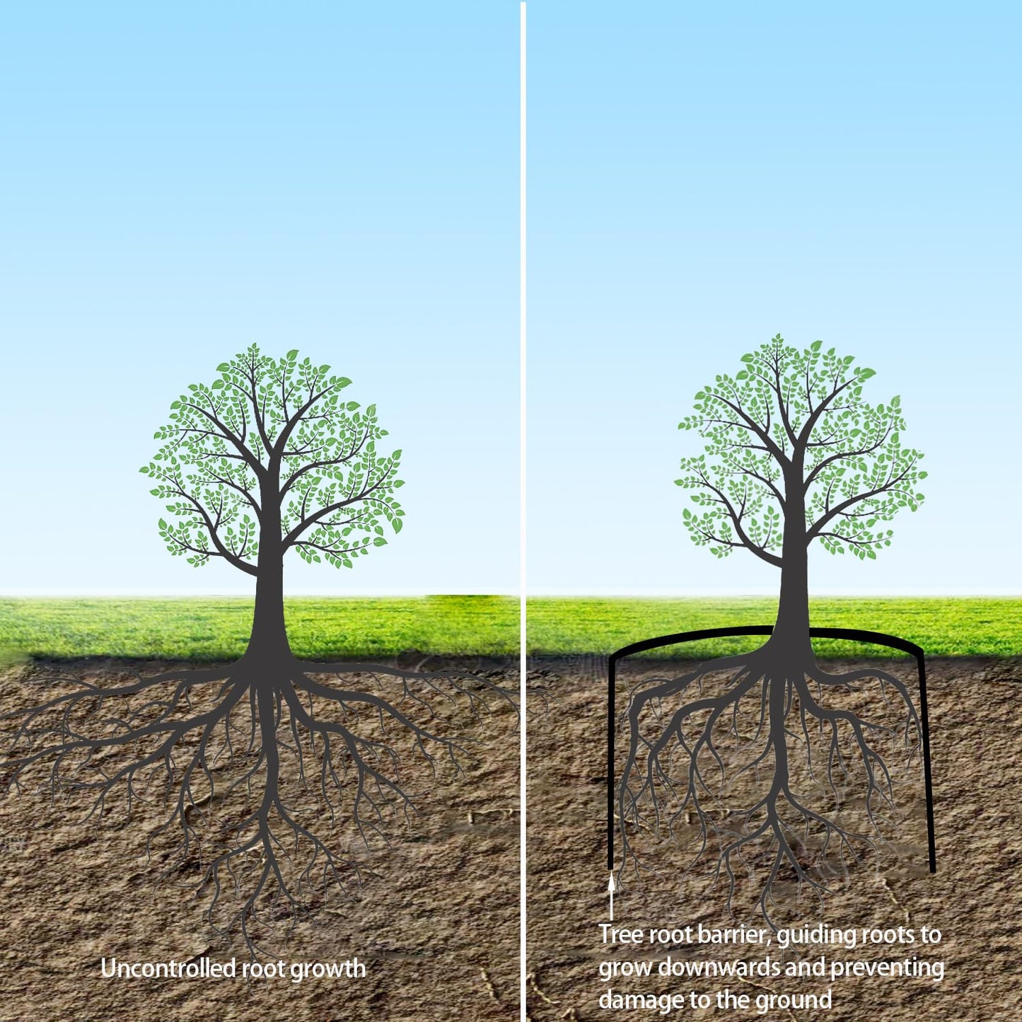 75ft x 24in x 60mil-Tree Root Barrier Bamboo Barrier Rhizome Control Barrier for Landscaping and Protection Roads