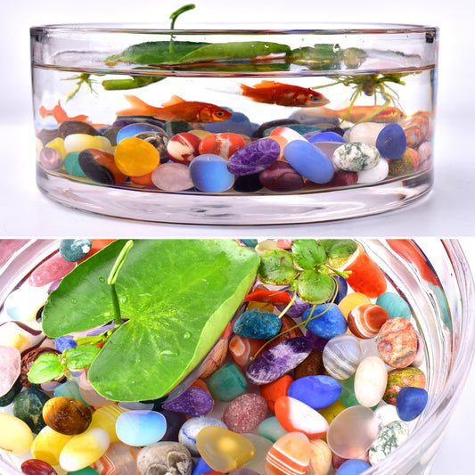 SigMntun Polished Colorful Crystal Stone Set – 24 Types, 0.8" Large Tumbled Gemstones, Bulk Decorative Pretty Rocks Collection for Meditation, Reiki, Healing, Mancala Stones and Crafts