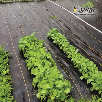 Dewitt 3-Pack Sunbelt Weed Barrier Fabric 3.2 oz, 6 x 300 Feet – Heavy-Duty Ground Cover Mat for Greenhouse Floors, Garden Rows, Raised Beds, Yard Gardening, and Outdoor Landscape Protection