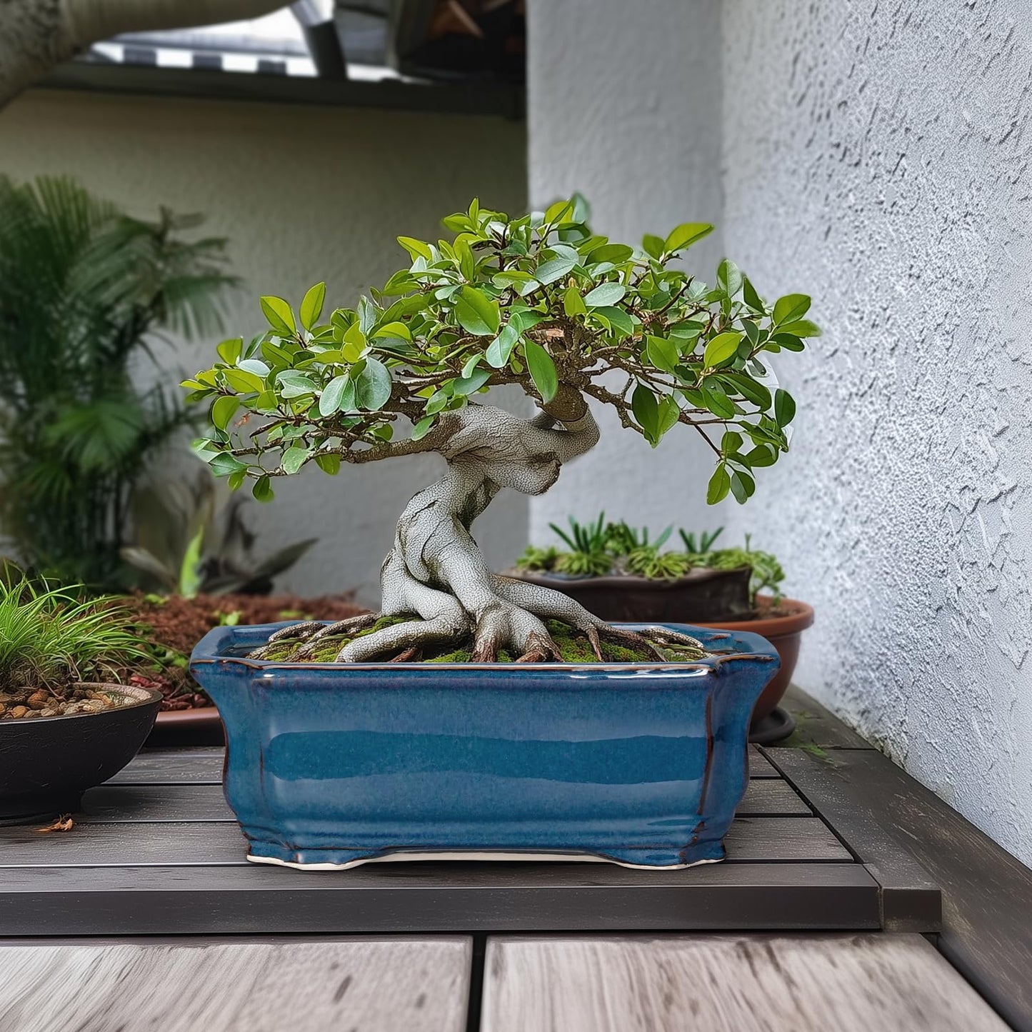 Teagas Bonsai Tree Pot - 13.7 Inch Large Ceramic Succulent Planter for Indoor Outdoor, Rectangle Plant Pot with Drainage Hole, Decorative Flower Pots, Home Decor, Gifts for Plant Lovers, Retro Blue