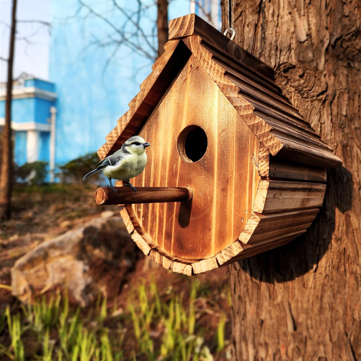KWISAMR 1 Pack Wren Houses for Outdoors,Natural Wooden Hanging Bird House for Chickadee,Bluebird,Handmade from Natural Wood for Garden Decorations