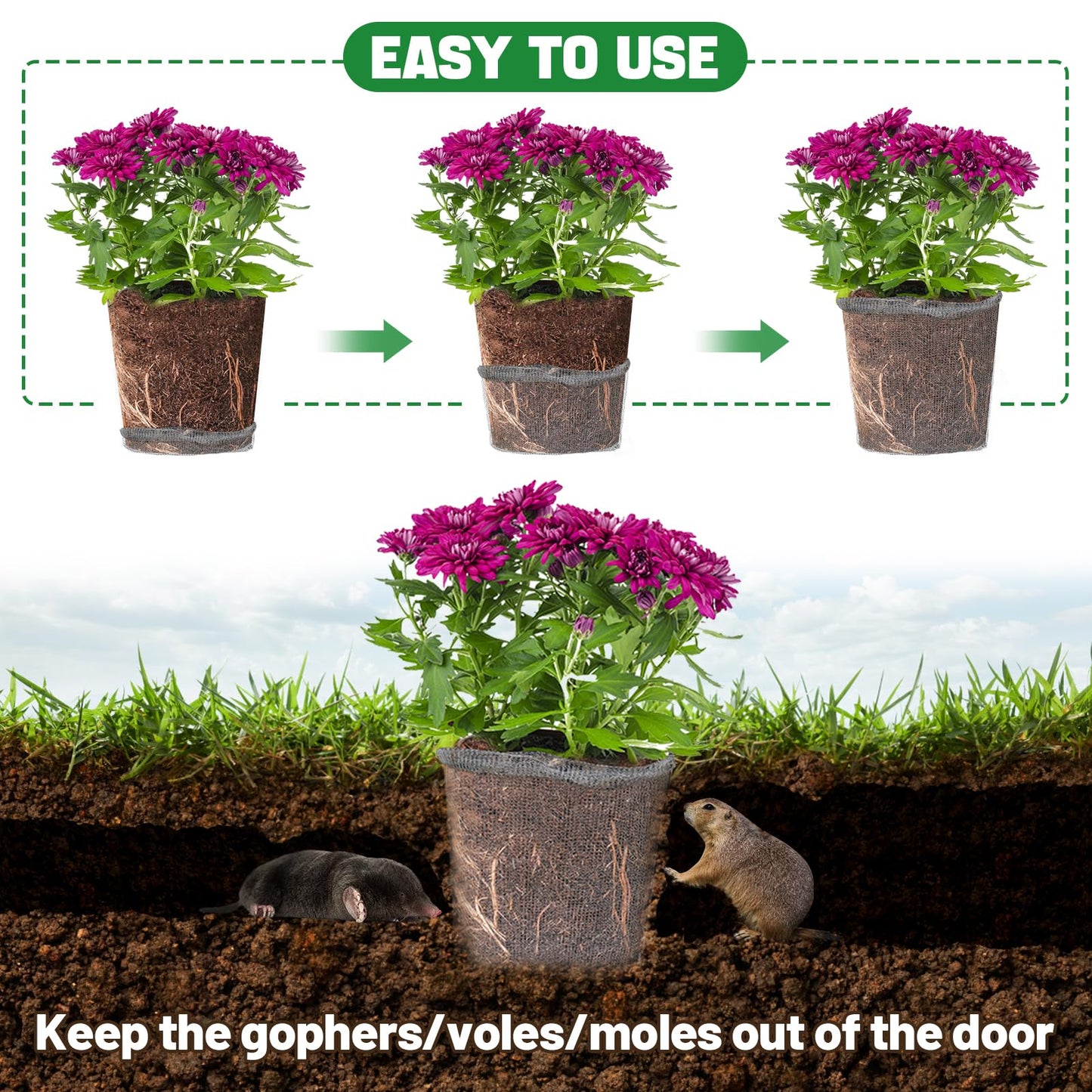 Aulock 5 Gallon Plant Root Protector for Gopher Voles Moles, 8 Pack Stainless Steel Guard Baskets Cages