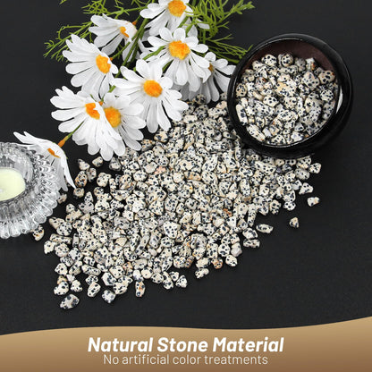 1.1lb Natural Crushed Dalmatian Jasper Crystal Tumbled Chips-Healing Crystals Chips Bulk, Crushed Crystal Gemstones for Crafts, Beautiful Package for Gift (Dalmatian Jasper)