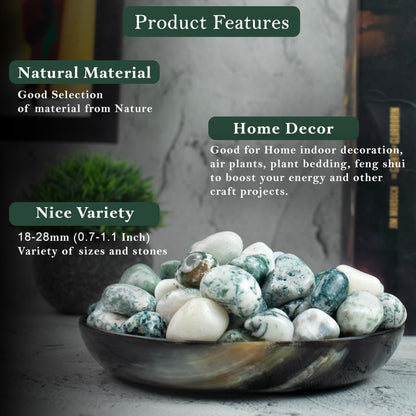 Crocon 1lb Tree Agate Tumble Stones Stones Set Pocket Crystal Healing Gemstones Balancing Tumble Collection Palm Stone Meditation Good Luck Charm Gift Craft Home Decor Size: 20-25 mm 1 LB