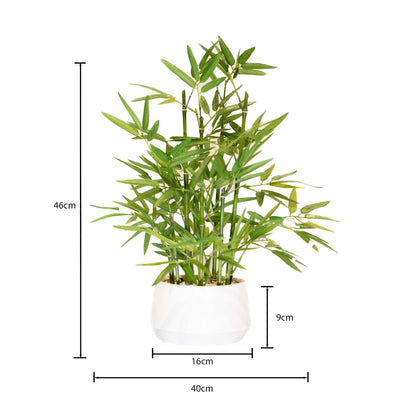 365 Blooming Decor 18 inch Tall White Potted Artificial Bamboo Plant- Luxury Artificial Bamboo Tree in White Pot for Home, Office, Kitchen, Counter Top, Indoor Decor, Money Tree, Lucky Tree.
