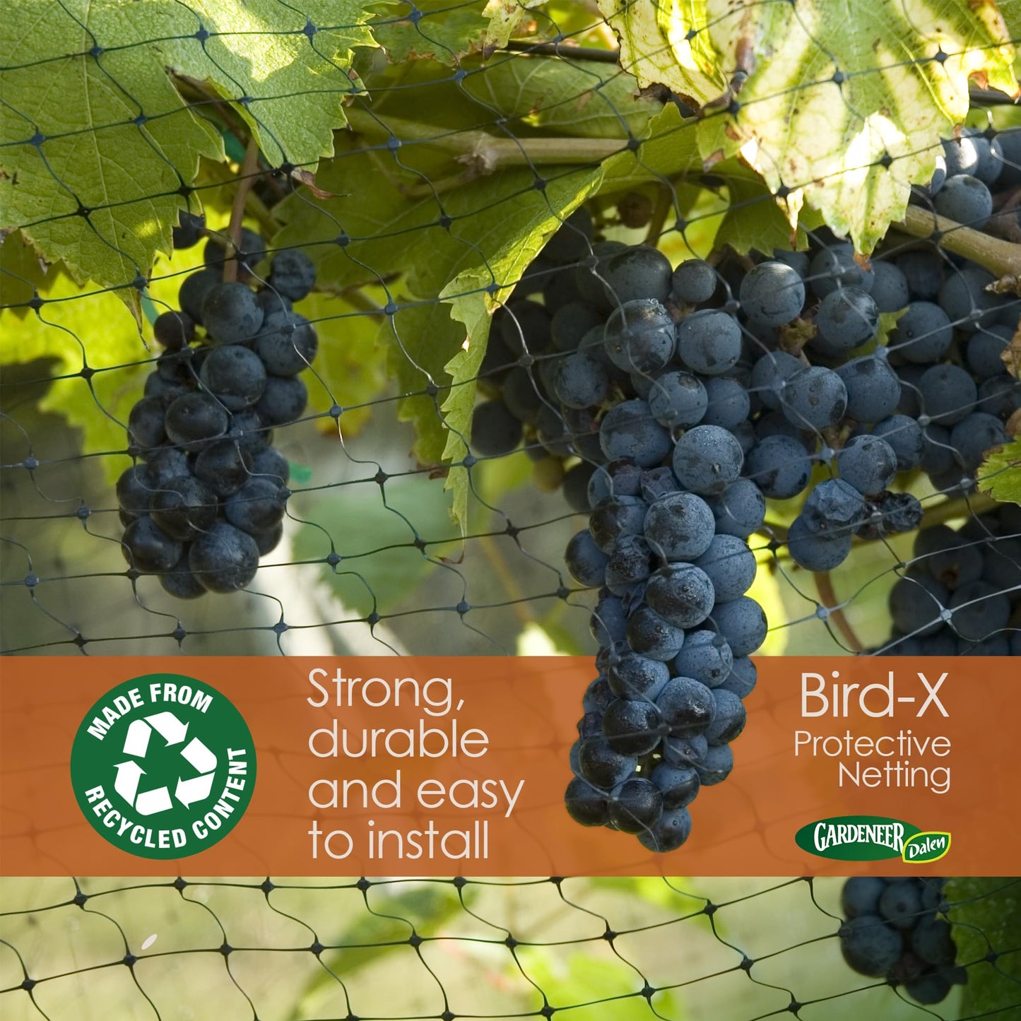 Dalen Bird-X Protective Mesh Netting for Fruit Trees, Berries, Vegetables - 14 ft x 45 ft, Black Garden Netting, 5/8-inch Mesh - Helps Deter Birds & Garden Pests, Made of Weather-Resistant Plastic
