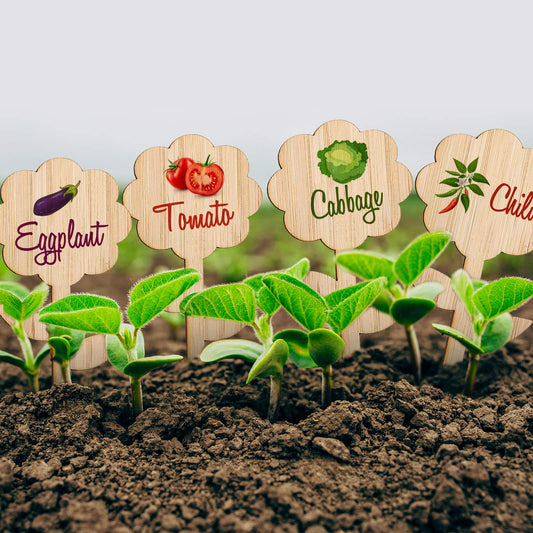 Whaline 60 Pcs Flower-Type Wood Plant Labels with 1 Marker Pen Wooden Plant Sign Tag Garden Marker Decorative Garden Tags for Seed Potted Herbs Flowers Vegetables, 2 x 3.9 Inch