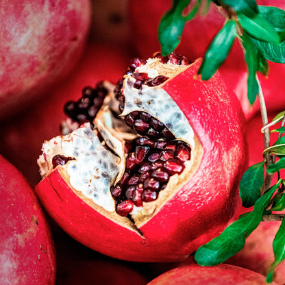 1 Pomegranate Wonderful Tree | Live Sapling in 2.5-inch Nursery Cube | Punica Granatum 'Wonderful' Variety | Hardy Deciduous Trees and Shrubs | Red Fruit-Bearing Plant