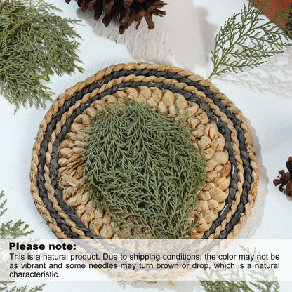 Jtoder Real Pressed Pine Leaves Branches for Christmas Crafts, Natural Dried Botanicals for Resin Ornaments, Wreath Making, Scrapbooking, Festive DIY Home Decor