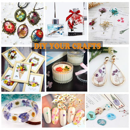 LUCISKY 99Pcs Pressed Dried Flowers and Butterfly for Resin Molds, Assorted Real Natural Flowers Leaves Stickers for DIY Art Nail Crafts, Jewelry, Candle, Soap Crafts Making