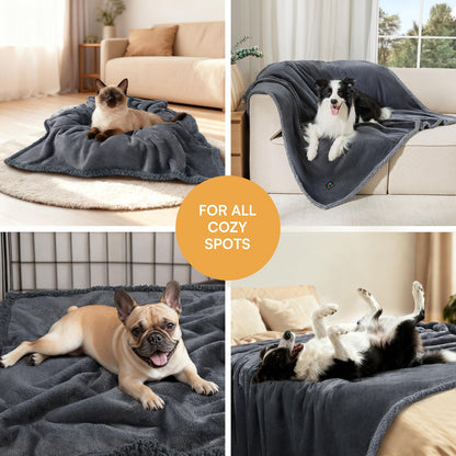 Waterproof Pet Blanket, Liquid Pee Proof Dog Blanket for Sofa Bed Couch, Reversible Sherpa Fleece Furniture Protector Cover for Small Medium Large Dogs Cats, Dark Gray Medium（57" x 40"）