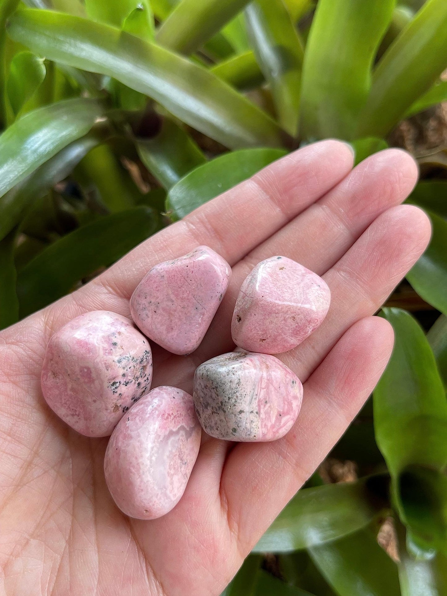 WHOLESALE Rhodonite Tumbled Stones, Polished Rhodonite Gemstone, Rhodonite Polished Rocks (Rhodonite, 0.25 Pound)