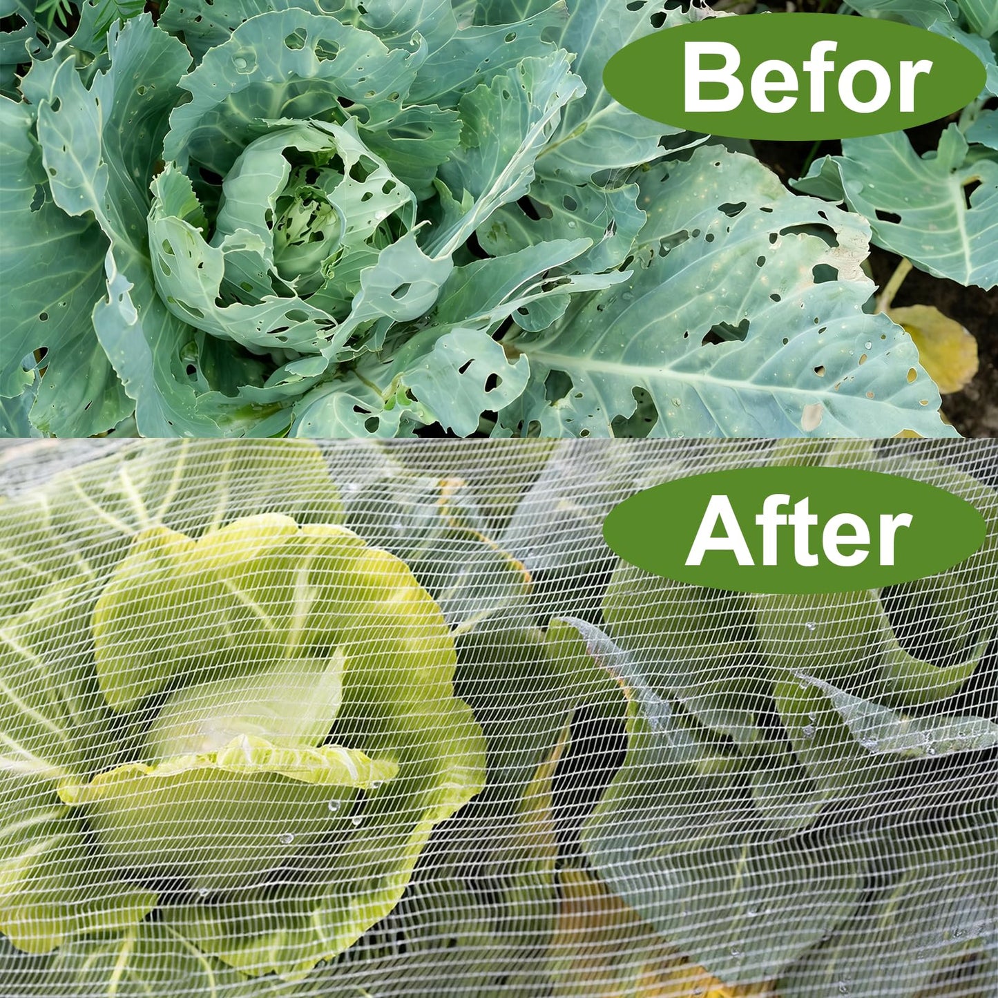 2 Pack Garden Netting for 4×2 FT Raised Beds, Fine Mesh Insect & Bird Barrier with Drawstring, Garden Bed Cover for Vegetables, Flowers & Herbs