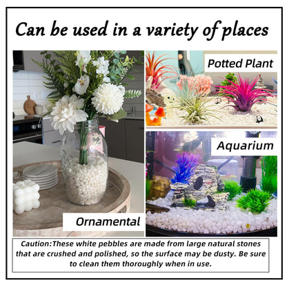 18lb 1/4" Small White Rocks for Plants,Potting,Succulents Aquarium Fish Tank Garden Vases Decorative Pebbles Gravel Rocks Stones