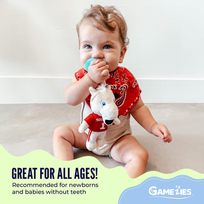 Gamezies Baby Boy and Girl Silicone Guitar Plush Pacifier with Detachable Western Plush Toy Holder, Guita- CPSIA Tested, BPA-Free 0-6 Months