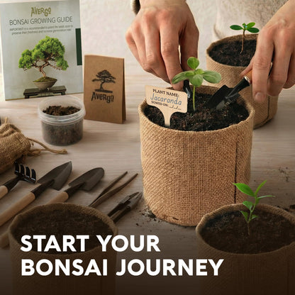 Bonsai Tree Kit for Beginners – 5X Unique Japanese Bonzai Trees | Complete Indoor Bonsai Starter Kit for Growing Bonsai Plants with Tools & Planters – DIY Gardening Gifts for Women & Men