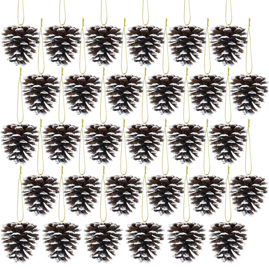 Winlyn 30 Pcs Frosted Pine Cone Ornaments White Natural Pinecone Hanging with String Pine Cones Christmas Tree Decorations for Winter Wedding Seasonal Wreath DIY Crafts Holiday Party Table Centerpiece